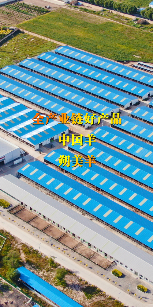 首頁(yè)banner3