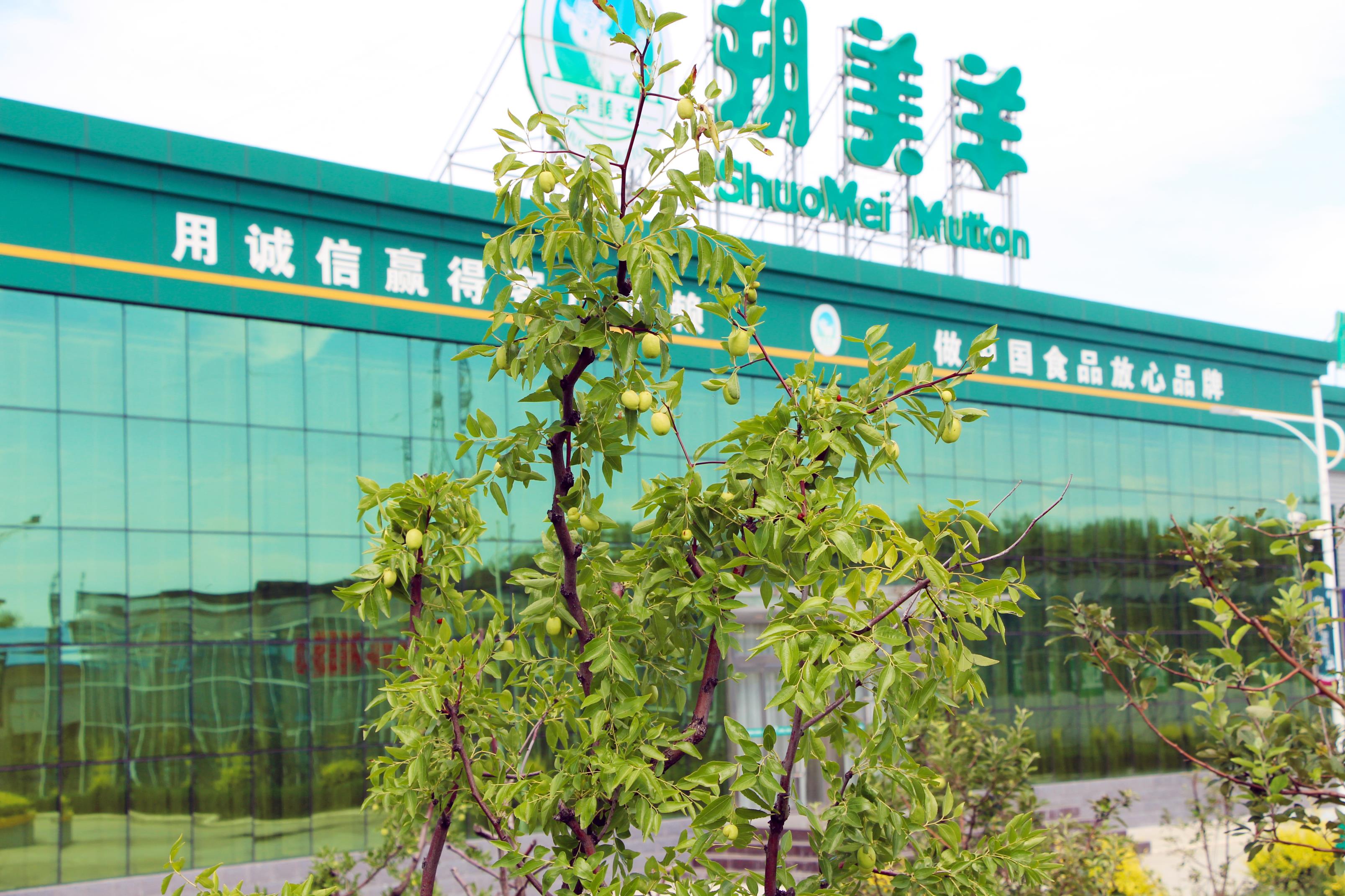 生產(chǎn)基地